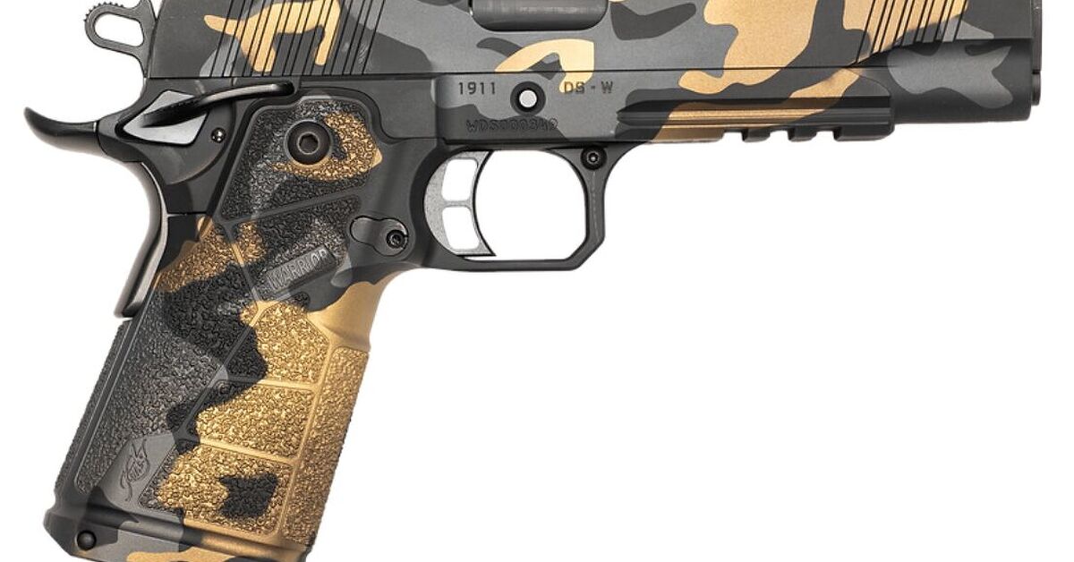 POTD: Kimber DS Warrior Spectre