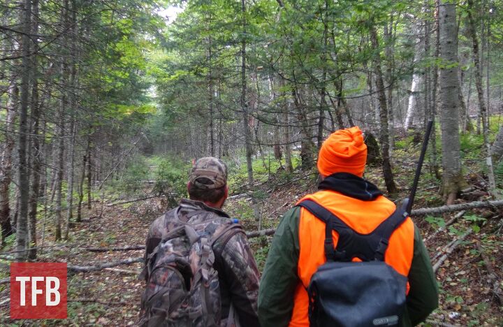 Fudd Friday: The Brush-Busting Question