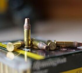 the rimfire report does remingtons 22 viper 36gr have the fangs