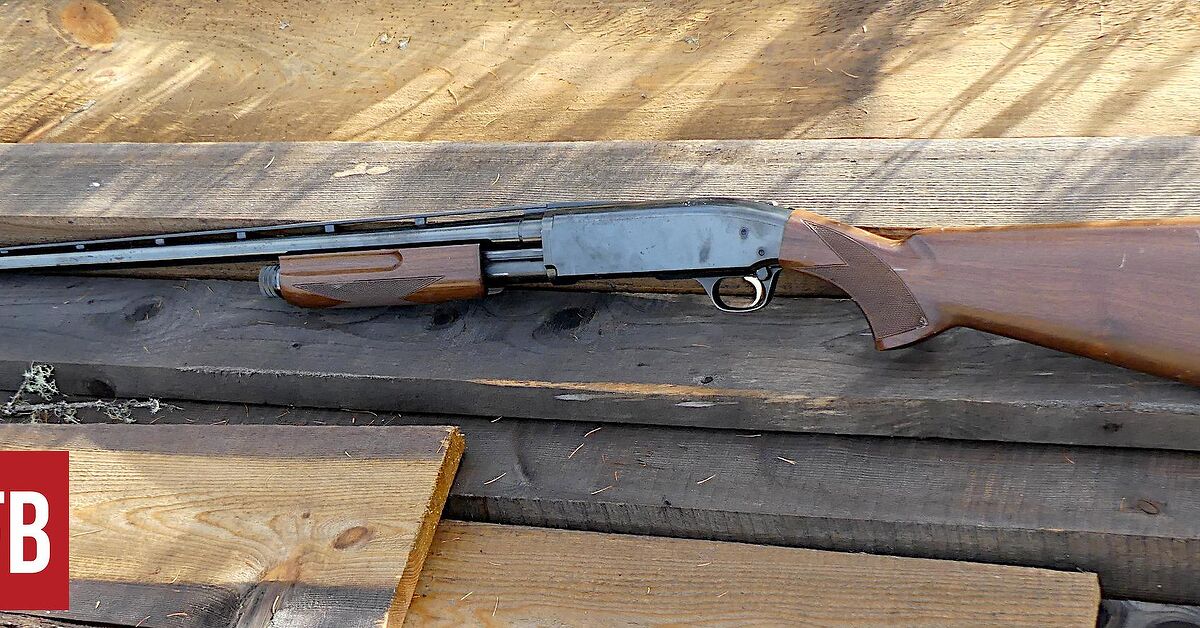 Fudd Friday: Your Allegedly Outdated Shotguns Are Still Usable
