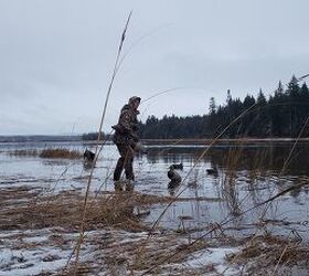 fudds ahoy b p dual steel waterfowl shells rebate, In a situation like this where you need close in coverage but long range punishing power a duplex load makes sense Zac K