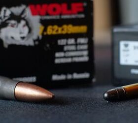 the rimfire report a closer look at wolf match target 22lr