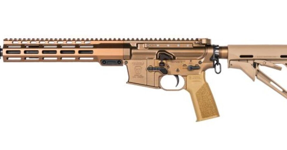 The Geissele HICAR - Hypervelocity Improved Capability Assault Rifle