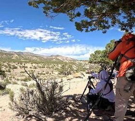 tfb review rrs benchmark tripod