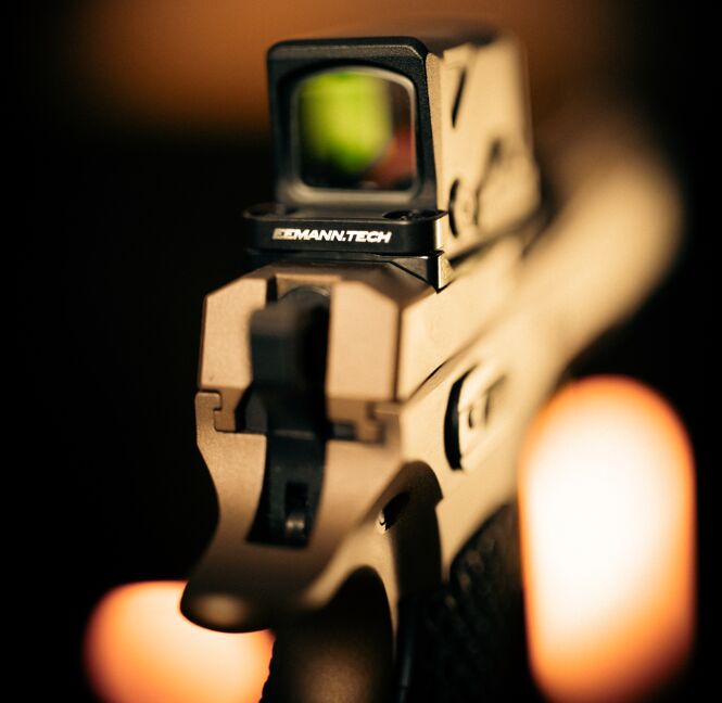 aimpoint coa meets cz shadow 2 or with eemann tech s steel plate
