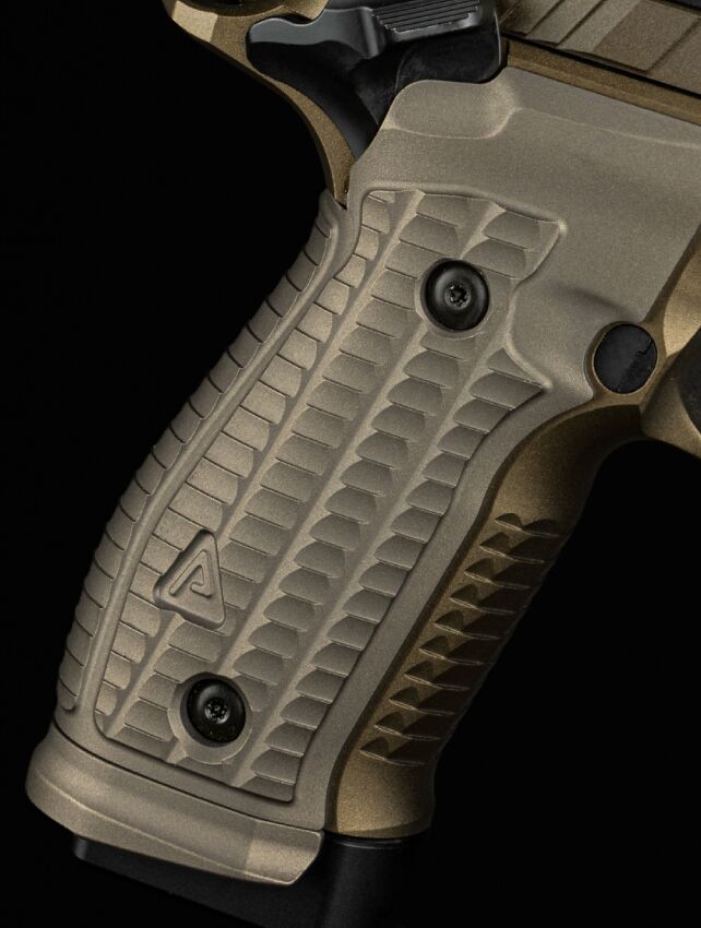 potd sig sauer p226 x agency