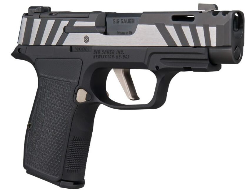 p365 axg equinox a compensated custom works carry pistol
