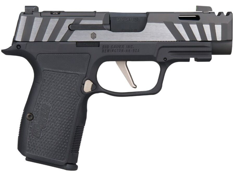 p365 axg equinox a compensated custom works carry pistol