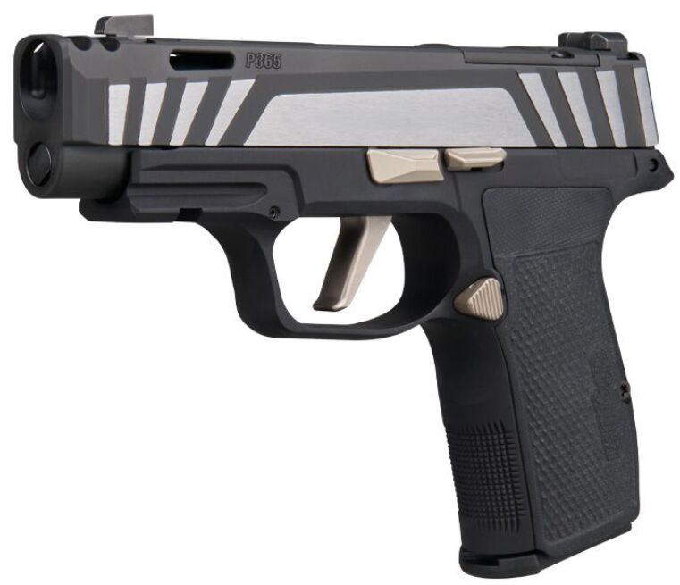 p365 axg equinox a compensated custom works carry pistol