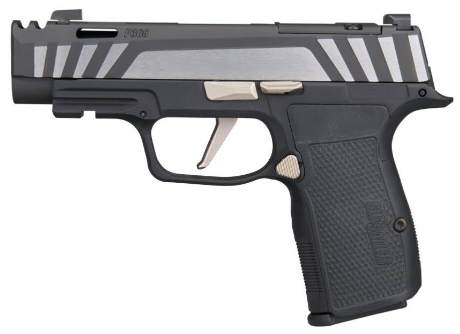 p365 axg equinox a compensated custom works carry pistol